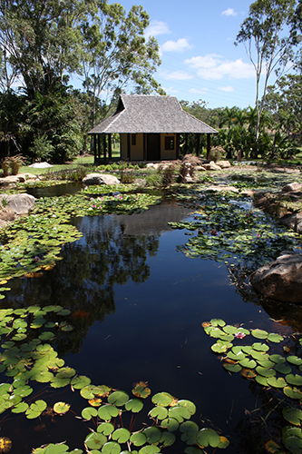 Tondoon Botanic Gardens - Attractions Brisbane 8