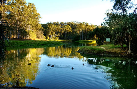 Tondoon Botanic Gardens - Attractions Brisbane 9