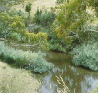 Yarrambat Park - Attractions Brisbane