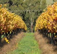Wild Dog Winery  Restaurant - Attractions Brisbane