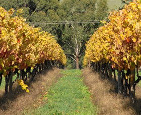 Wild Dog Winery & Restaurant - Attractions Brisbane 0