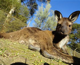 Addington VIC Attractions Brisbane