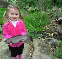 Wild Food Farm  Cafe - Attractions Brisbane