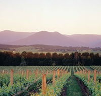 Domaine Chandon - Attractions Brisbane