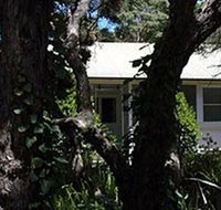 Melaleuca Gallery - Attractions Brisbane