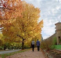 Indigo Gold Trail - Attractions Brisbane