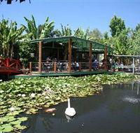 Blue Lotus Water Garden - Attractions Brisbane