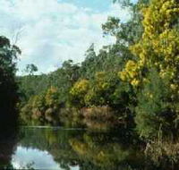 Warrandyte State Park - Attractions Brisbane