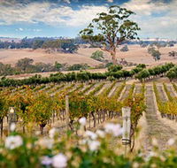 Redesdale Estate - Attractions Brisbane