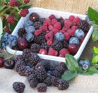 Bright Berry Farms - Attractions Brisbane