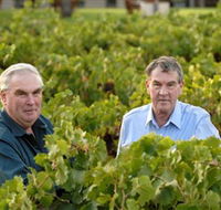 Campbells Wines - Attractions Brisbane