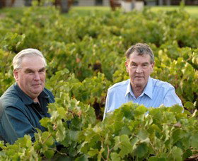 Campbells Wines - Attractions Brisbane 0