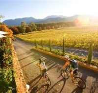 Boyntons Feathertop Winery - Attractions Brisbane