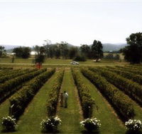 Rochford Wines - Attractions Brisbane