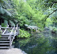 Alfred Nicholas Gardens - Attractions Brisbane