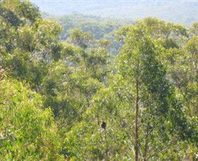 Bunyip State Park - Attractions Brisbane 0