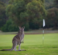 Anglesea Golf Club - Attractions Brisbane
