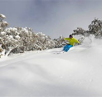 Mt Buller and Mt Stirling Alpine Resort - Attractions Brisbane
