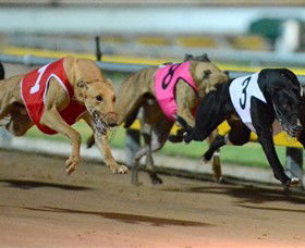 The Beckley Centre - Attractions Brisbane 0