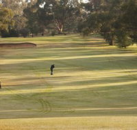 Cohuna Golf Club - Attractions Brisbane