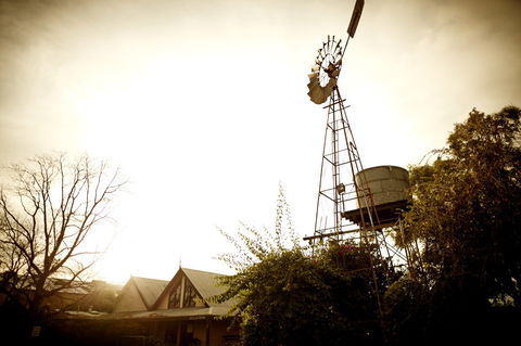 Brown Brothers Milawa Vineyard - Attractions Brisbane 1