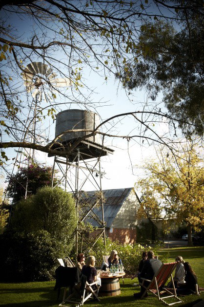 Brown Brothers Milawa Vineyard - Attractions Brisbane 5