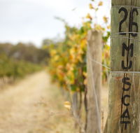 Stanton and Killeen Wines - Attractions Brisbane