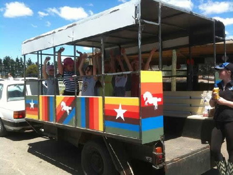 Saddle On Riding School - Attractions Brisbane 4
