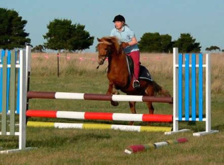 Saddle On Riding School - Attractions Brisbane 5