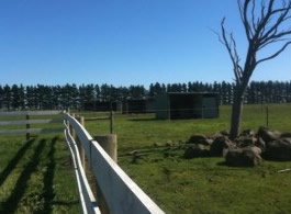 Saddle On Riding School - Attractions Brisbane 6