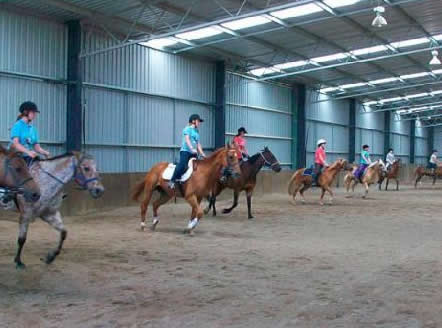 Saddle On Riding School - Attractions Brisbane 7