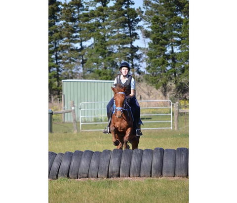 Saddle On Riding School - Attractions Brisbane 9