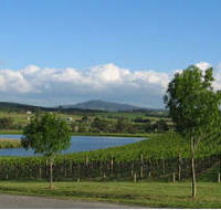 Yarrawood Estate - Attractions Brisbane