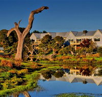 The Minya Vineyard  Winery - Attractions Brisbane