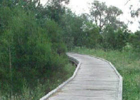 Shepherds Bush - Attractions Brisbane 0