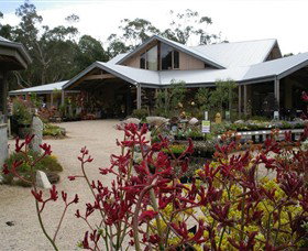 Kuranga Native Nursery And Paperbark Cafe - Attractions Brisbane 0