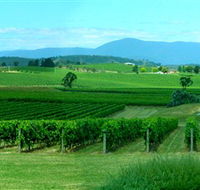 Acacia Ridge Vineyard - Attractions Brisbane