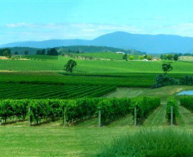 Acacia Ridge Vineyard - Attractions Brisbane 0