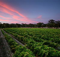 Amherst Winery - Attractions Brisbane