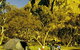Mount Arapiles-Tooan State Park - thumb 0