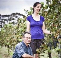 Anderson Winery - Attractions Brisbane