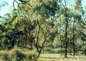 Appin South VIC Attractions Brisbane