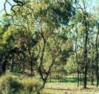 Leaghur State Park - Attractions Brisbane