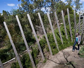 Herring Island Environmental Sculpture Park - Attractions Brisbane 0