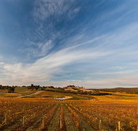 Sanguine Estate - Attractions Brisbane