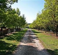 Waybourne Winery - Attractions Brisbane