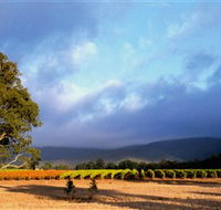 Mount Avoca - Attractions Brisbane