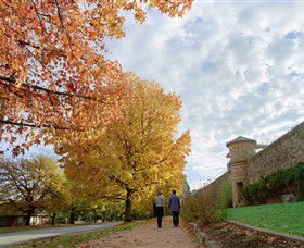 Beechworth Historic And Cultural Precinct - Attractions Brisbane 0