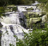 Agnes Falls Scenic Reserve