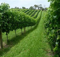 The Cups Estate - Attractions Brisbane